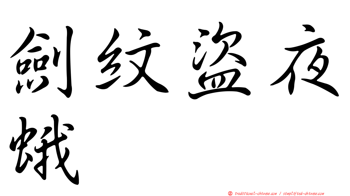 劍紋盜夜蛾