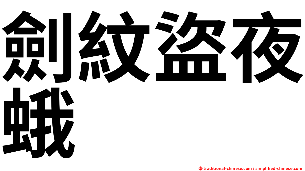 劍紋盜夜蛾