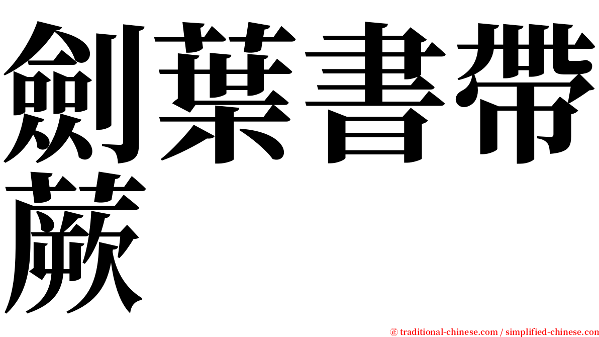 劍葉書帶蕨 serif font