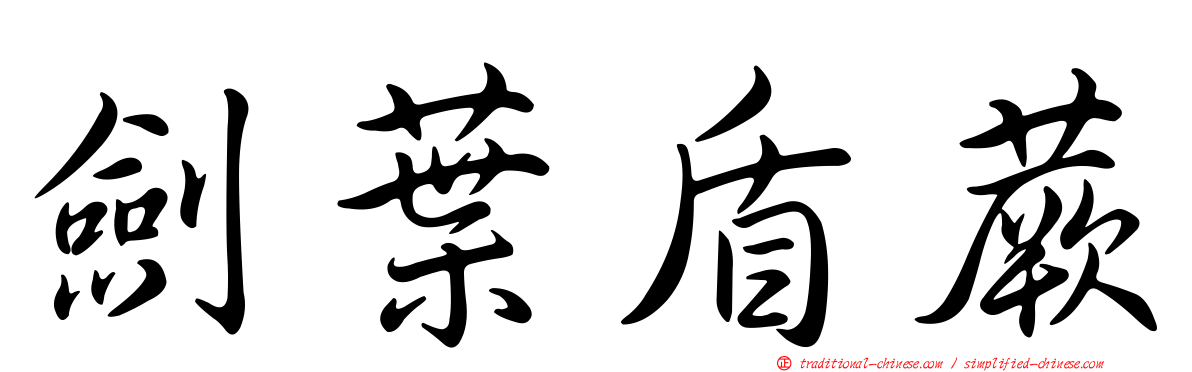 劍葉盾蕨