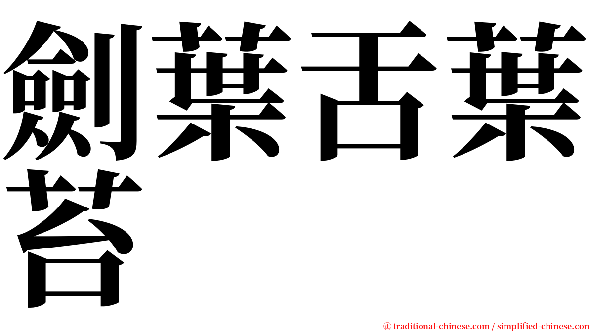 劍葉舌葉苔 serif font