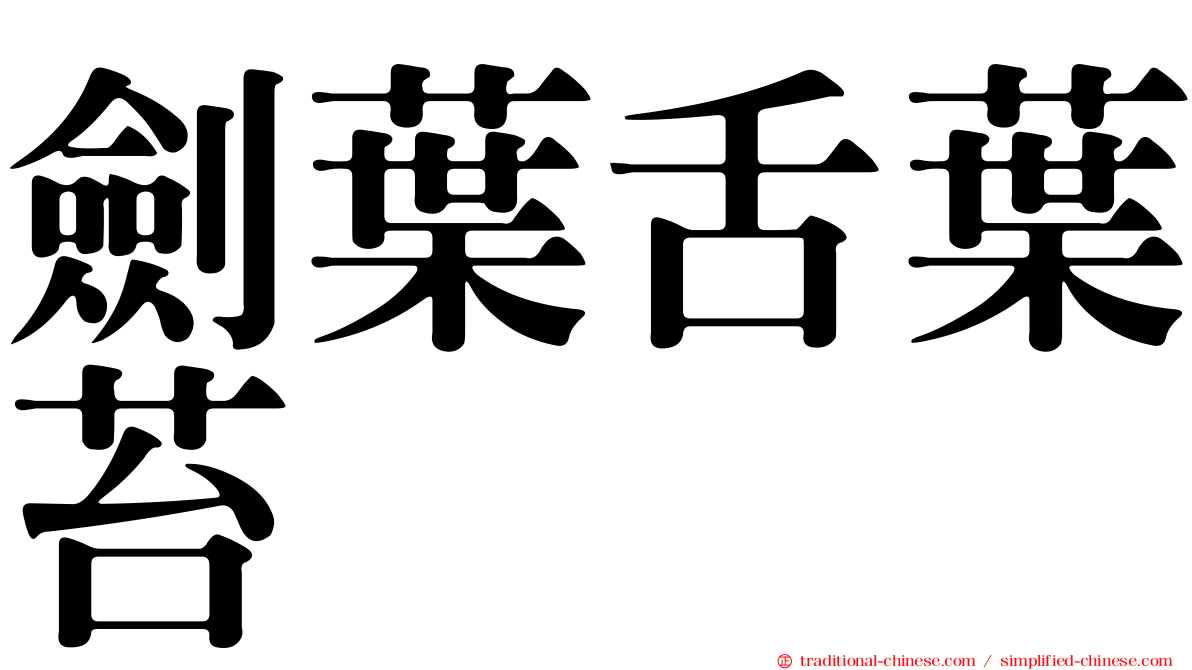 劍葉舌葉苔