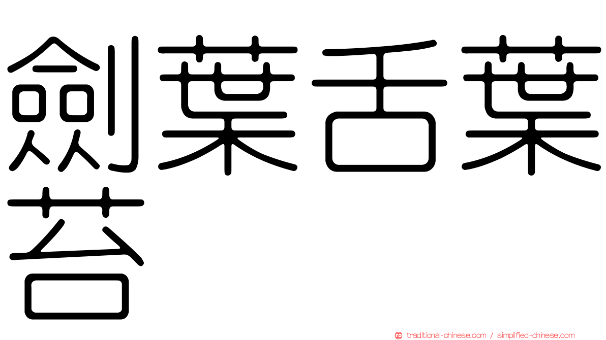 劍葉舌葉苔