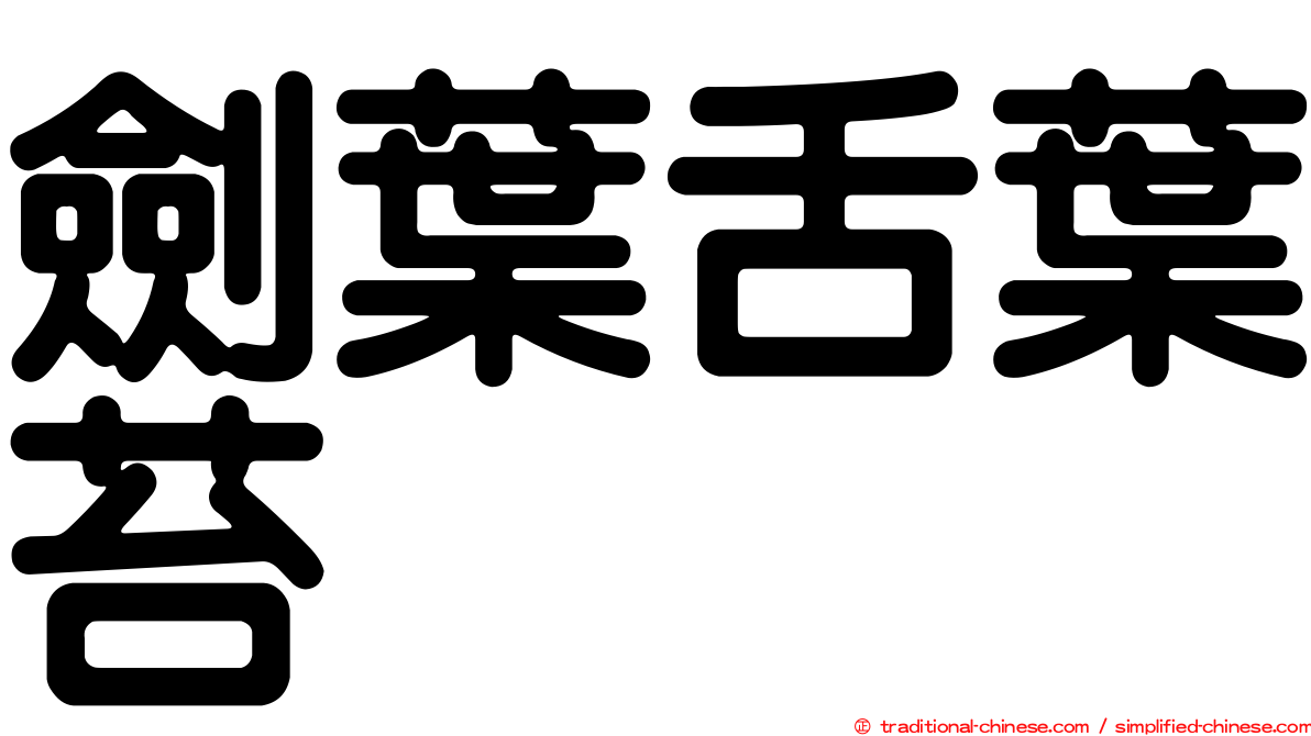 劍葉舌葉苔
