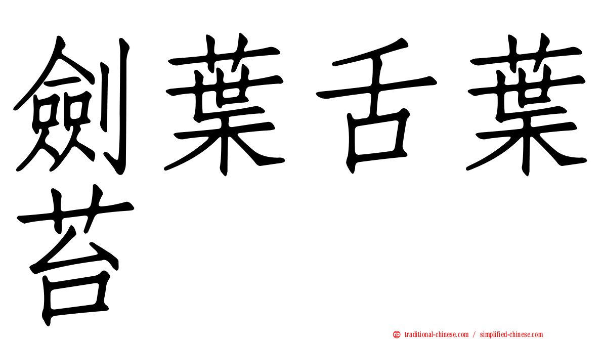 劍葉舌葉苔