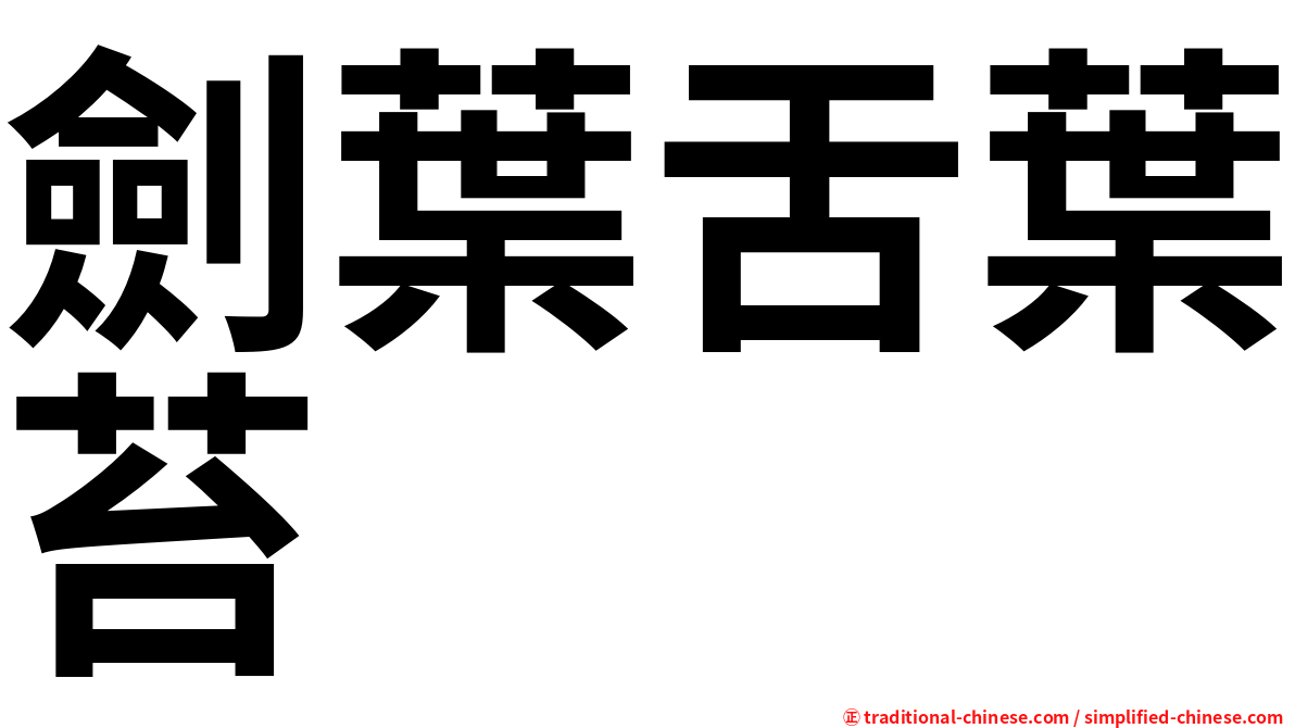 劍葉舌葉苔