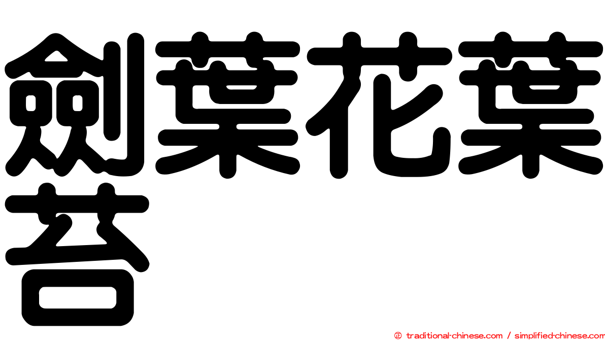 劍葉花葉苔