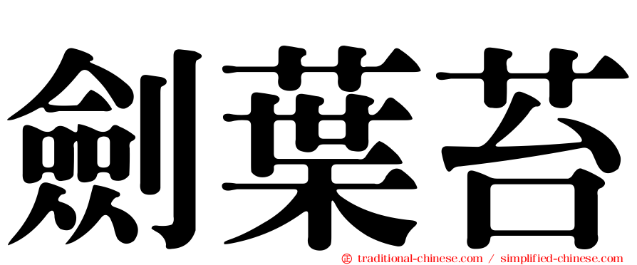劍葉苔