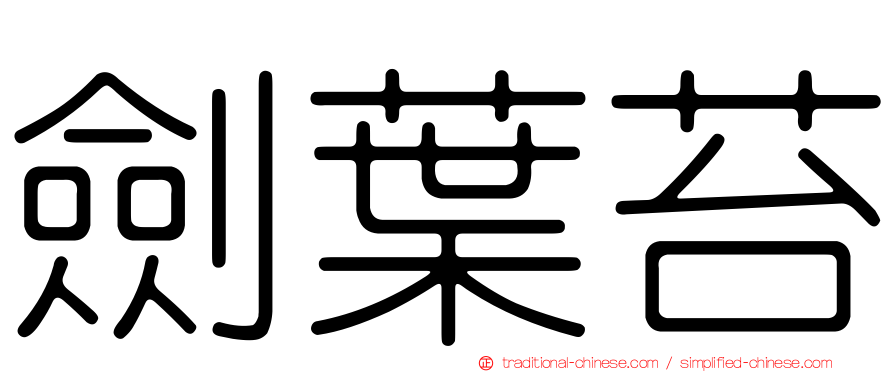 劍葉苔