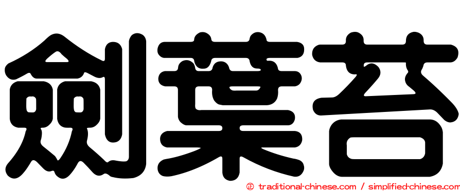 劍葉苔