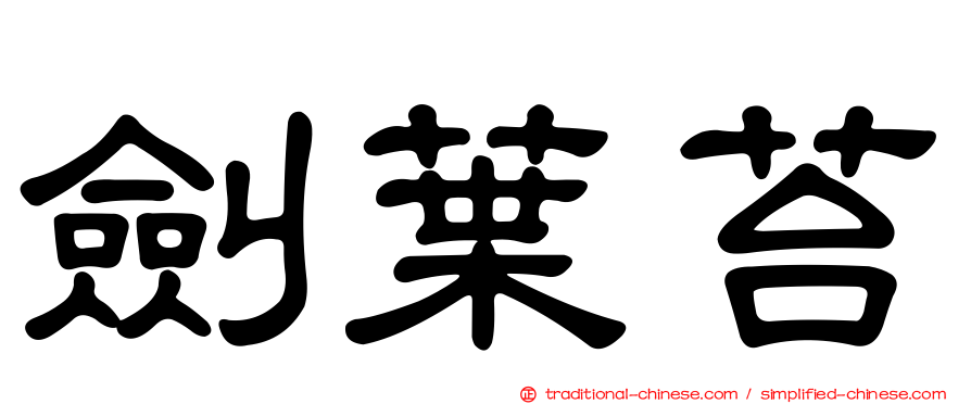 劍葉苔