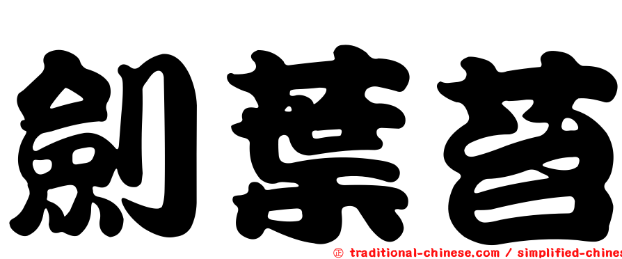 劍葉苔