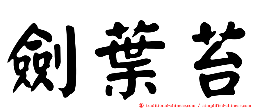 劍葉苔