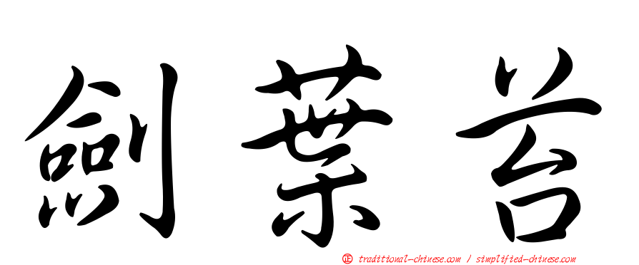 劍葉苔