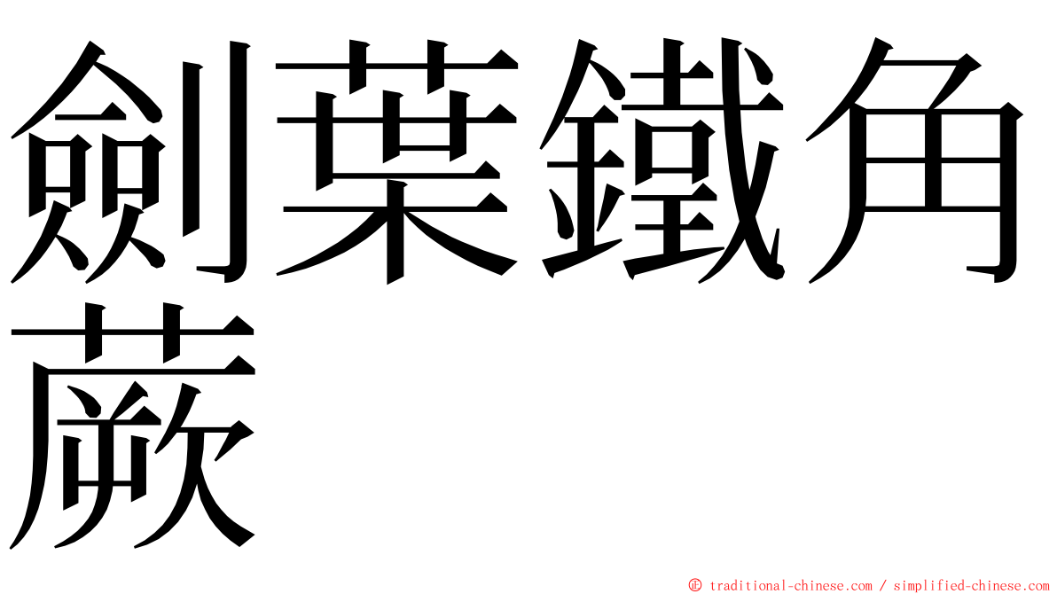劍葉鐵角蕨 ming font
