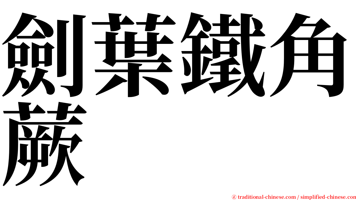 劍葉鐵角蕨 serif font