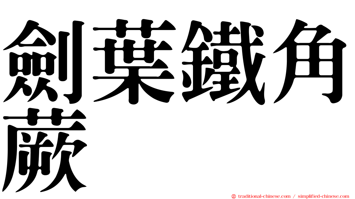 劍葉鐵角蕨