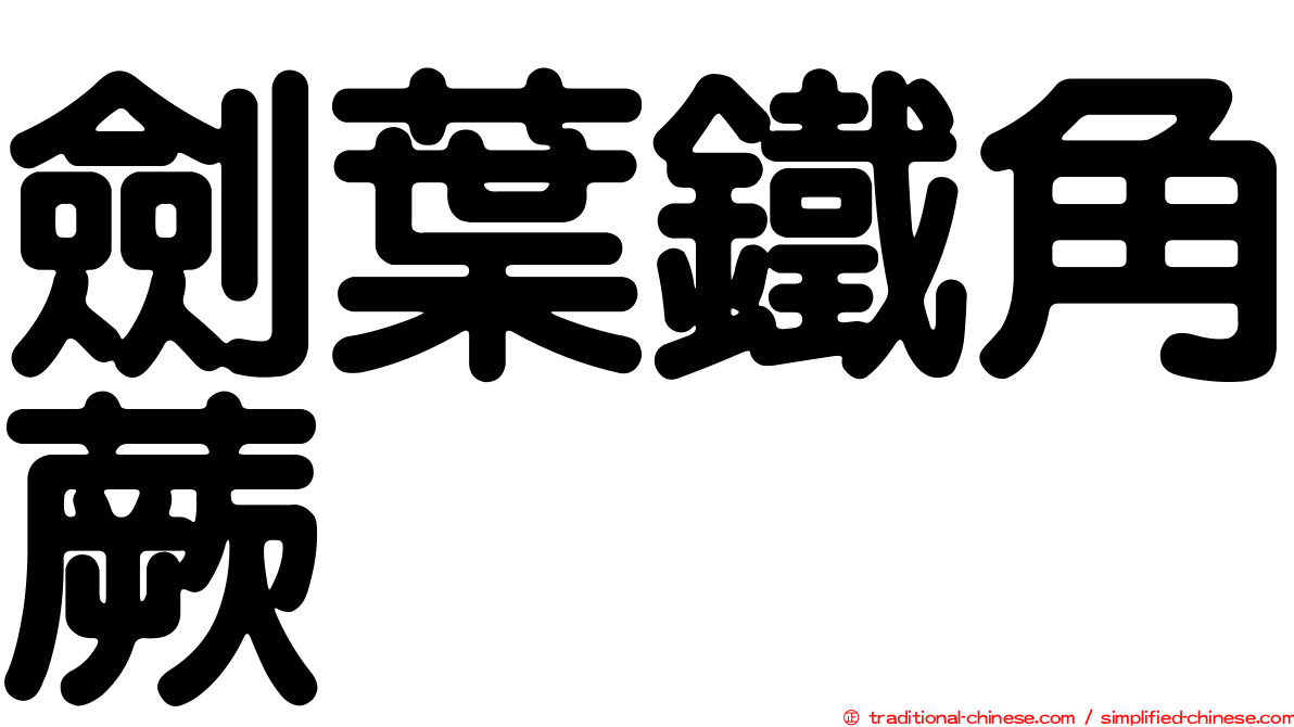 劍葉鐵角蕨