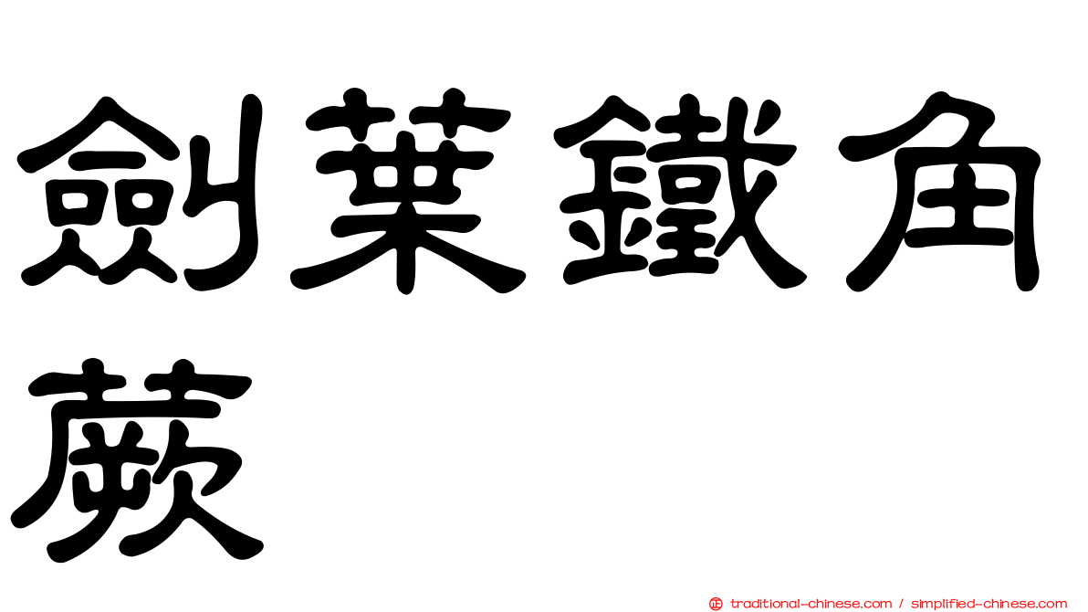 劍葉鐵角蕨