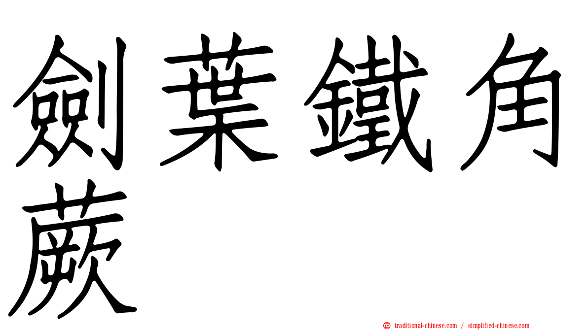 劍葉鐵角蕨
