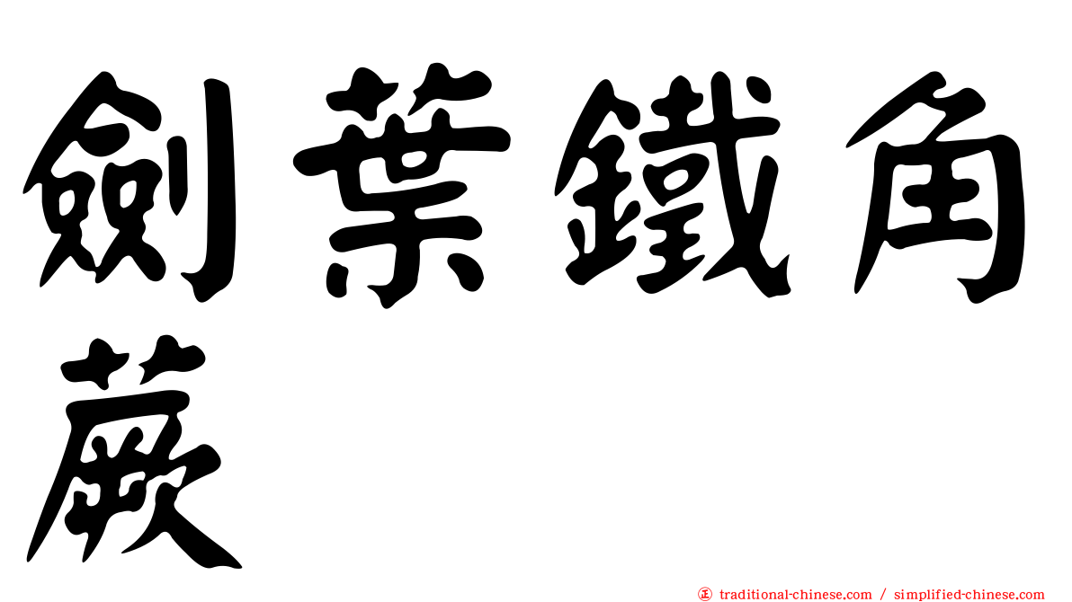 劍葉鐵角蕨