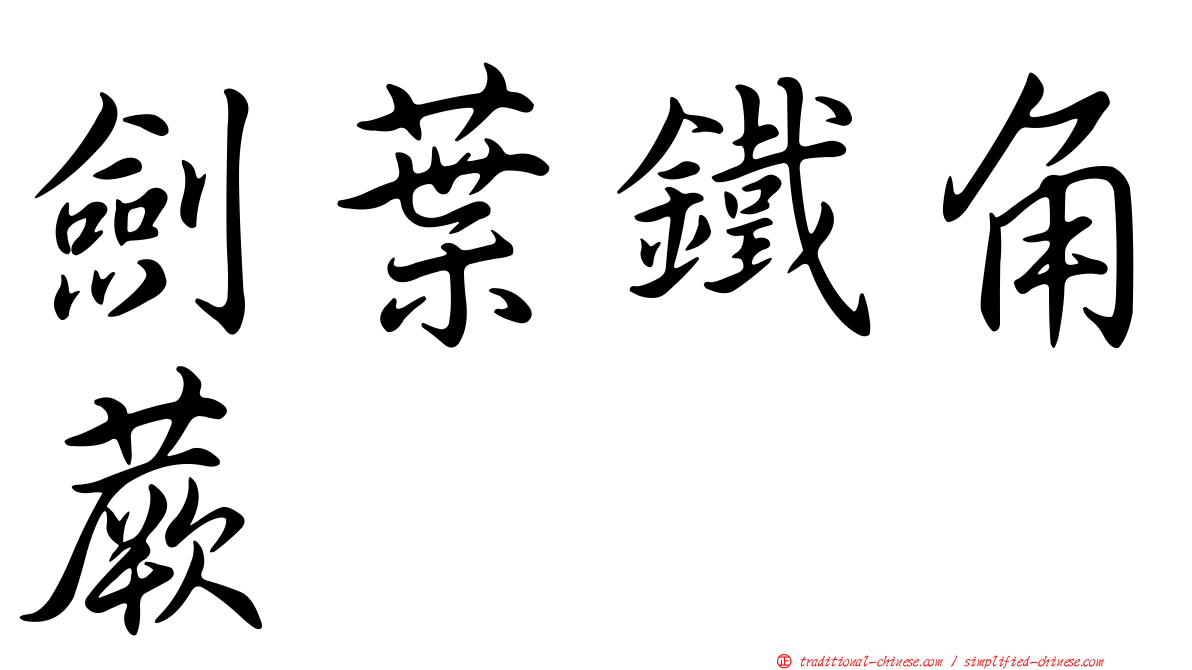 劍葉鐵角蕨