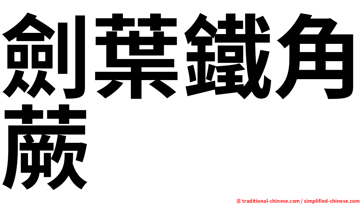 劍葉鐵角蕨