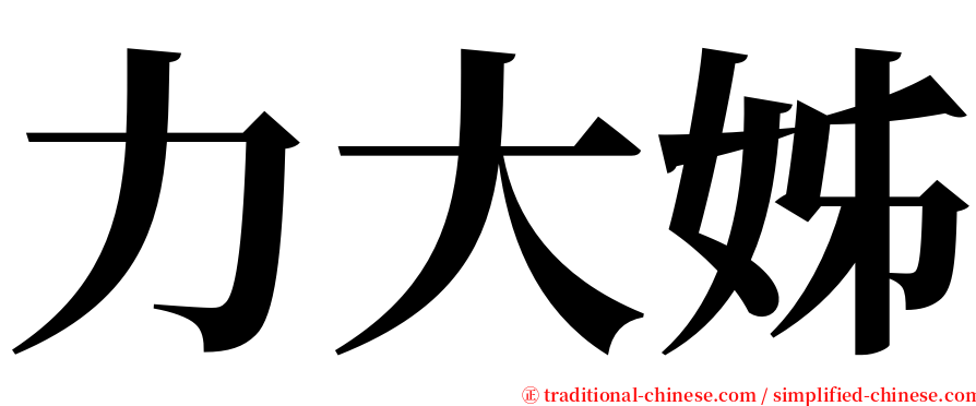 力大姊 serif font
