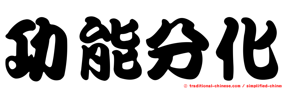 功能分化