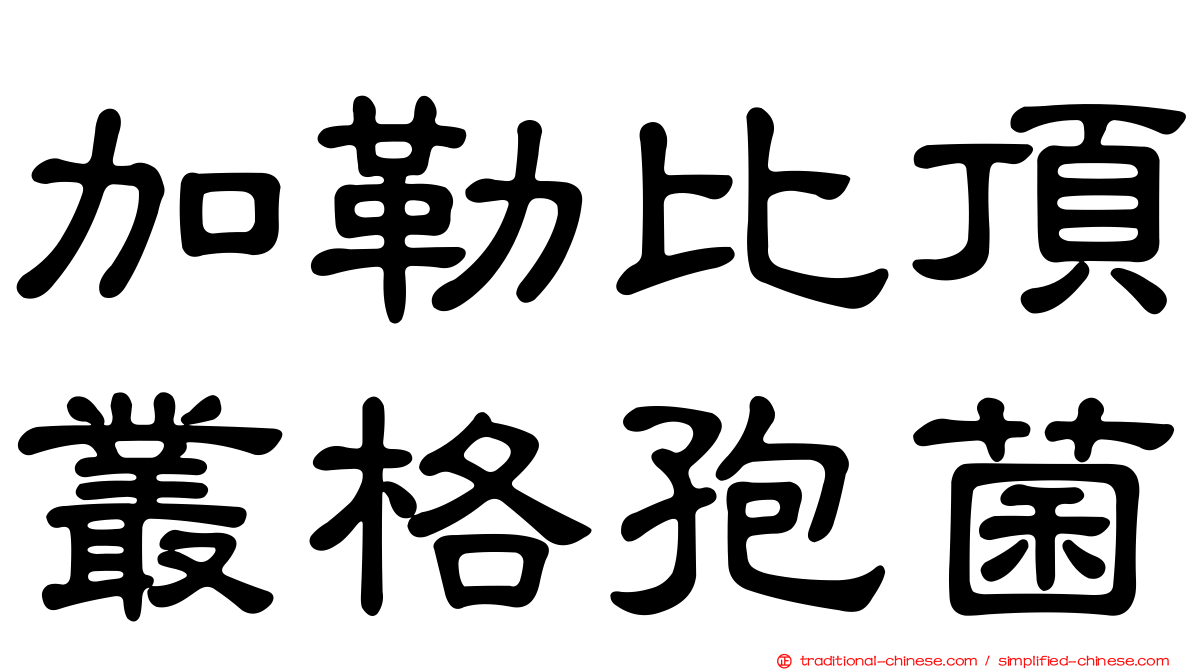 加勒比頂叢格孢菌
