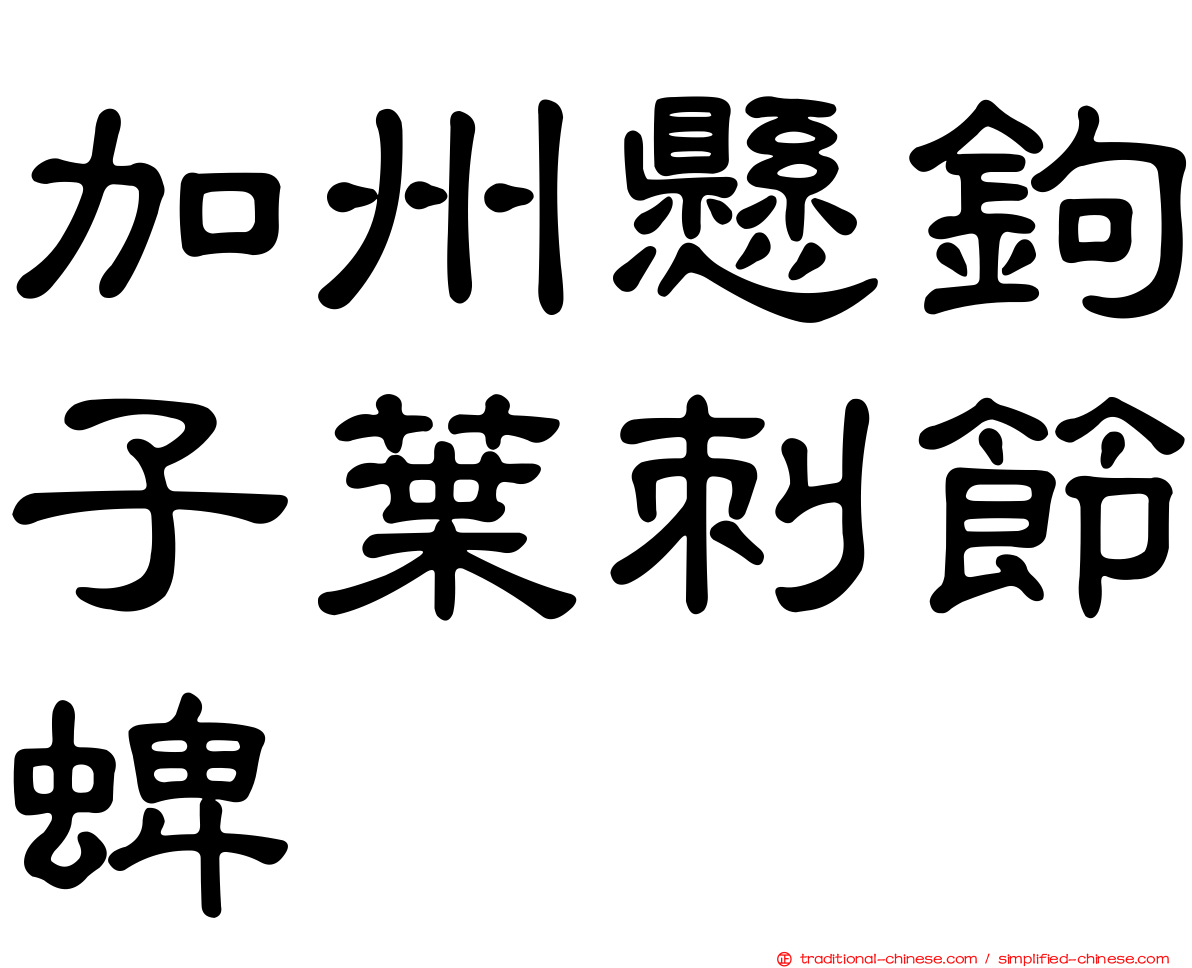 加州懸鉤子葉刺節蜱