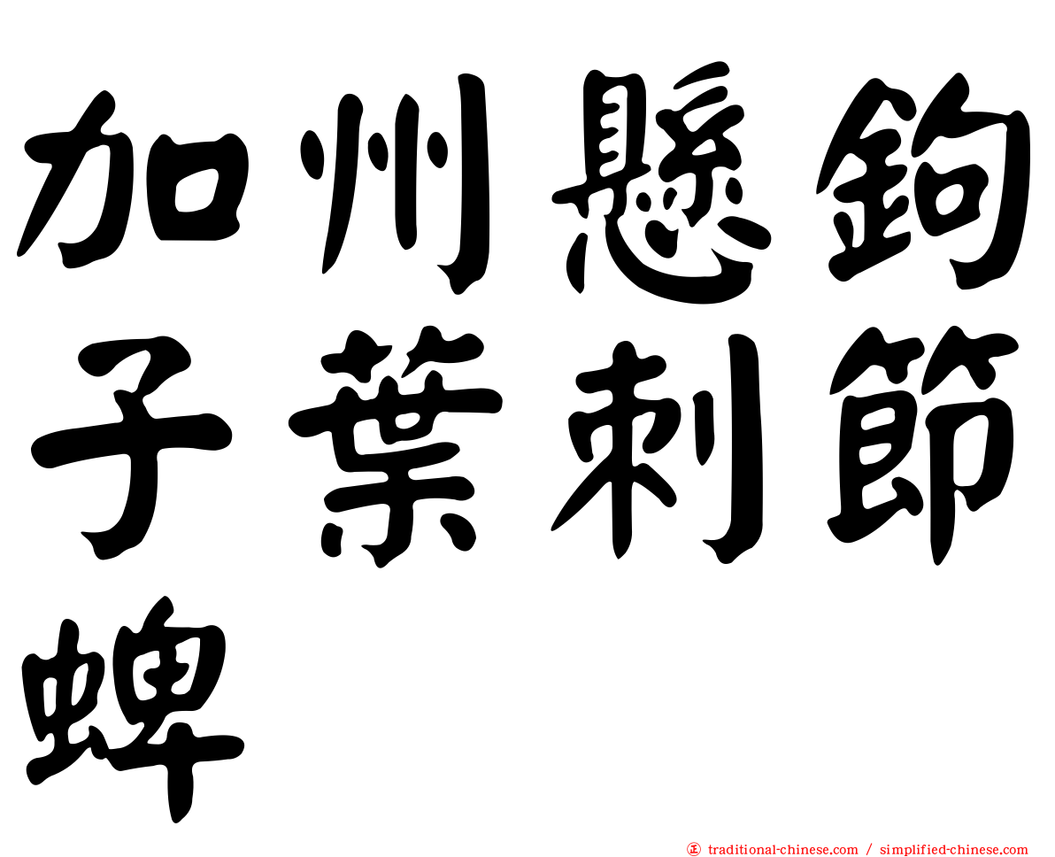 加州懸鉤子葉刺節蜱