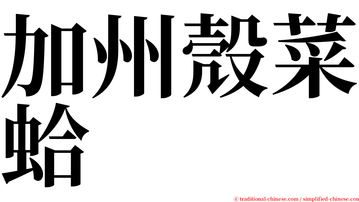 加州殼菜蛤 serif font