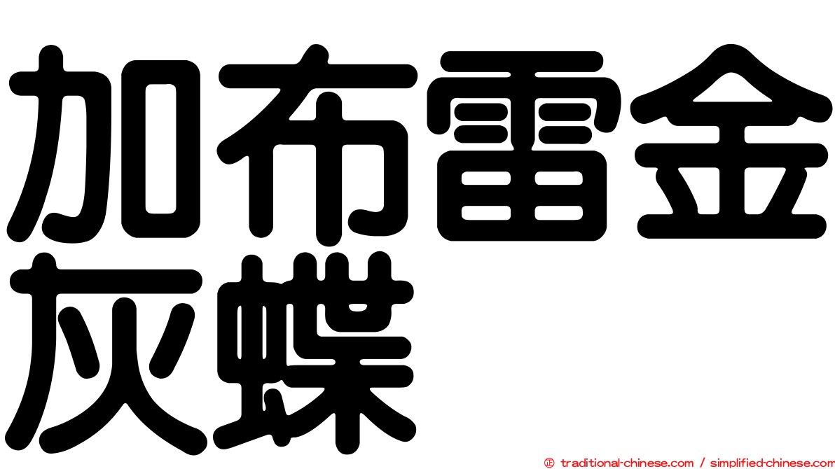 加布雷金灰蝶