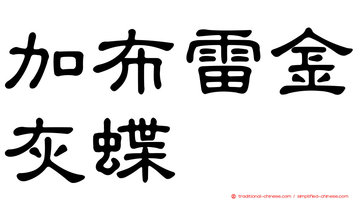 加布雷金灰蝶