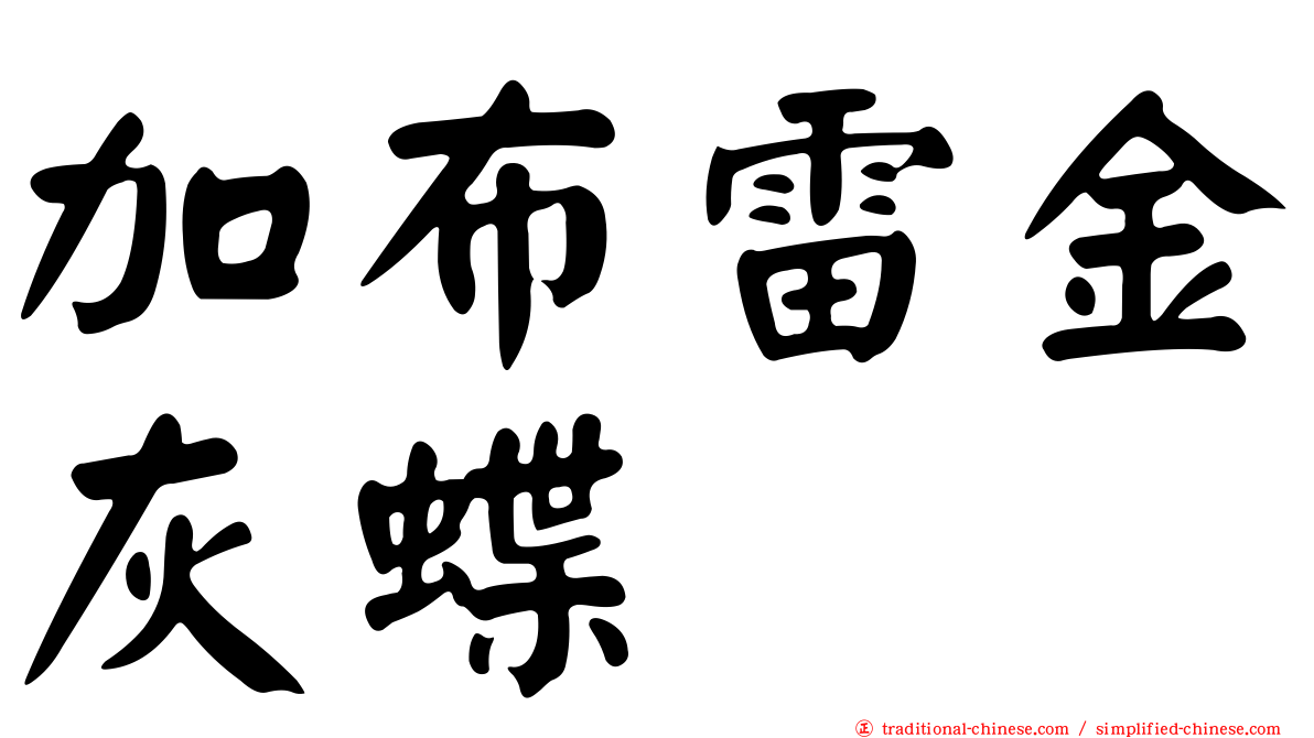 加布雷金灰蝶