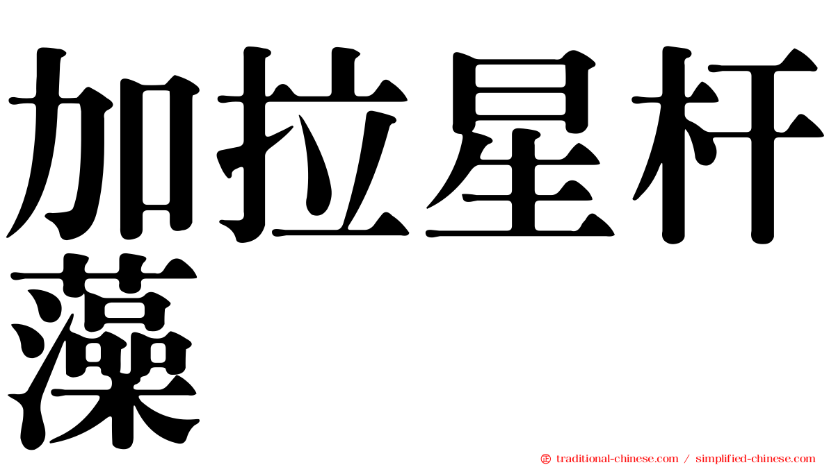 加拉星杆藻