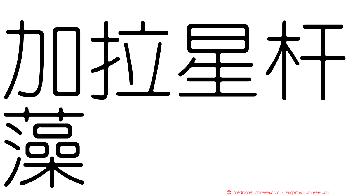 加拉星杆藻