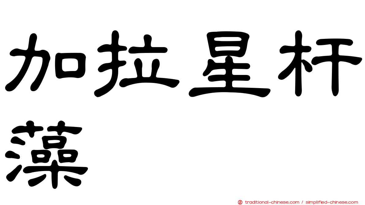 加拉星杆藻