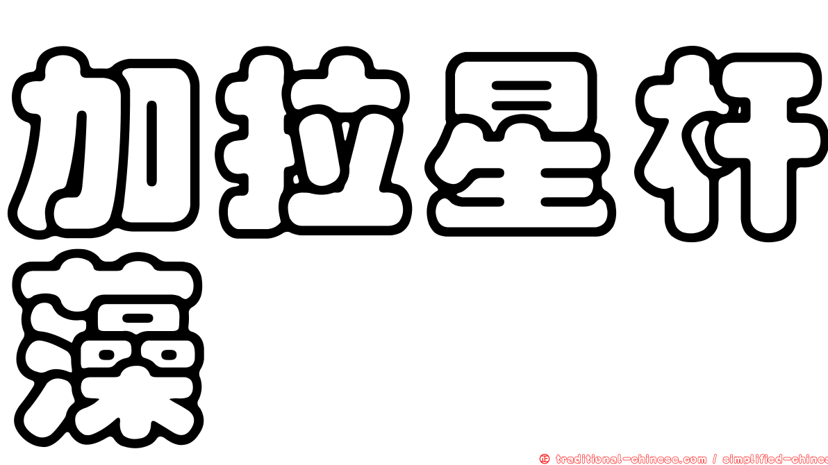 加拉星杆藻