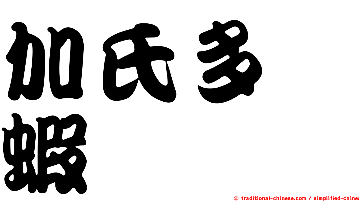 加氏多螯蝦