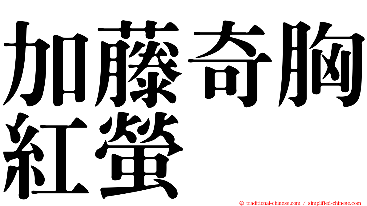 加藤奇胸紅螢