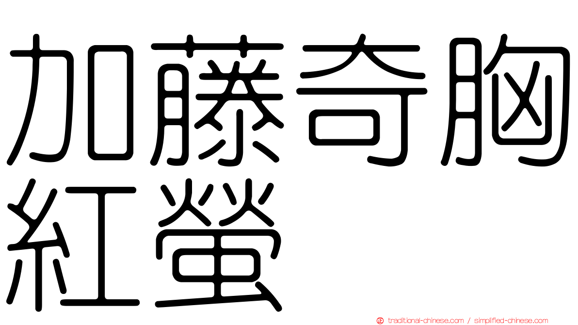 加藤奇胸紅螢