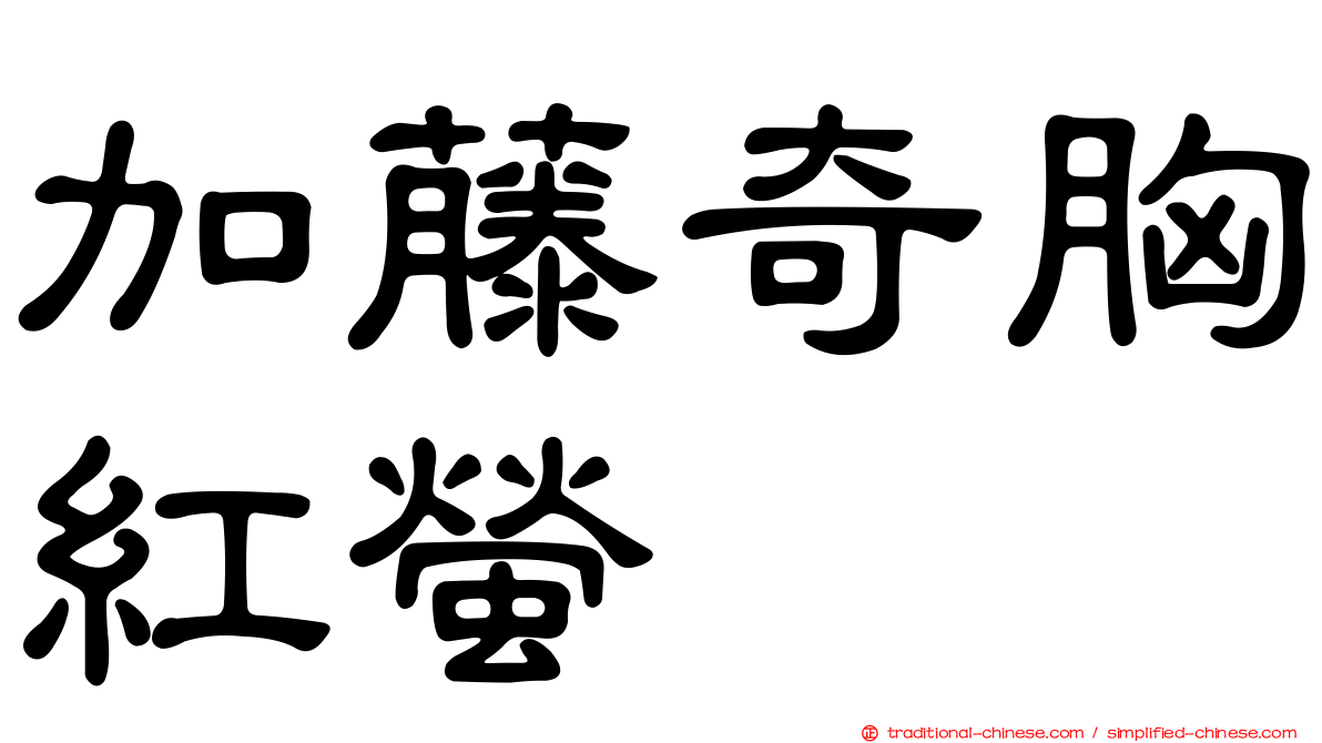 加藤奇胸紅螢