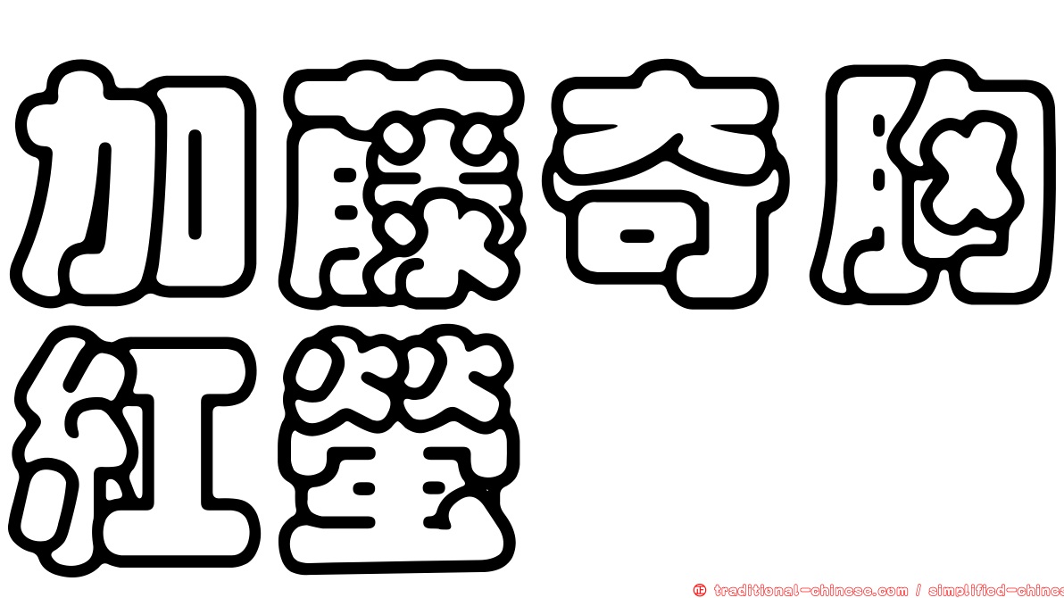 加藤奇胸紅螢