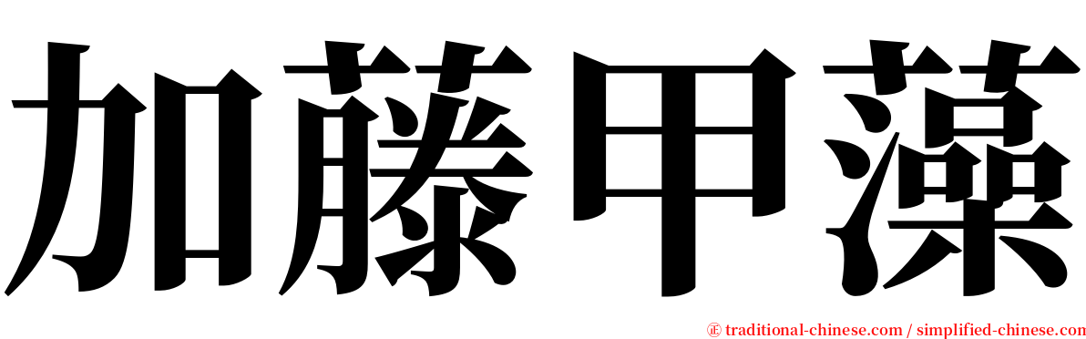 加藤甲藻 serif font