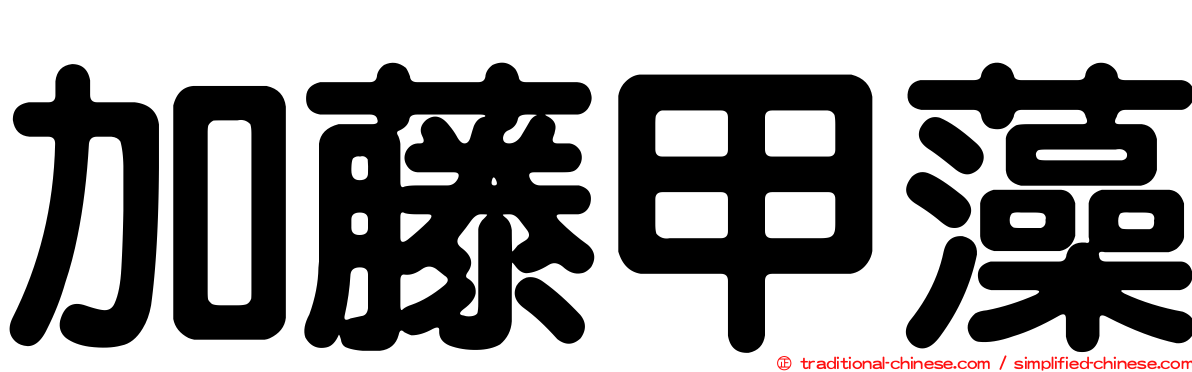 加藤甲藻