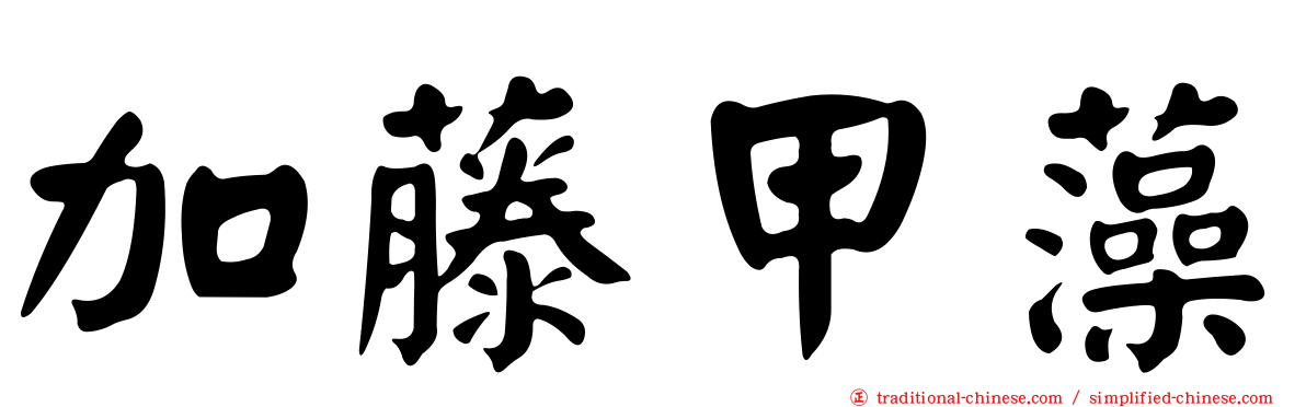 加藤甲藻