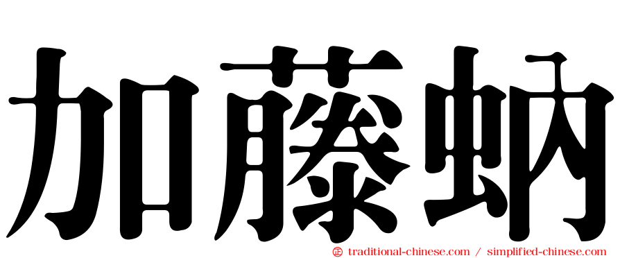 加藤蚋
