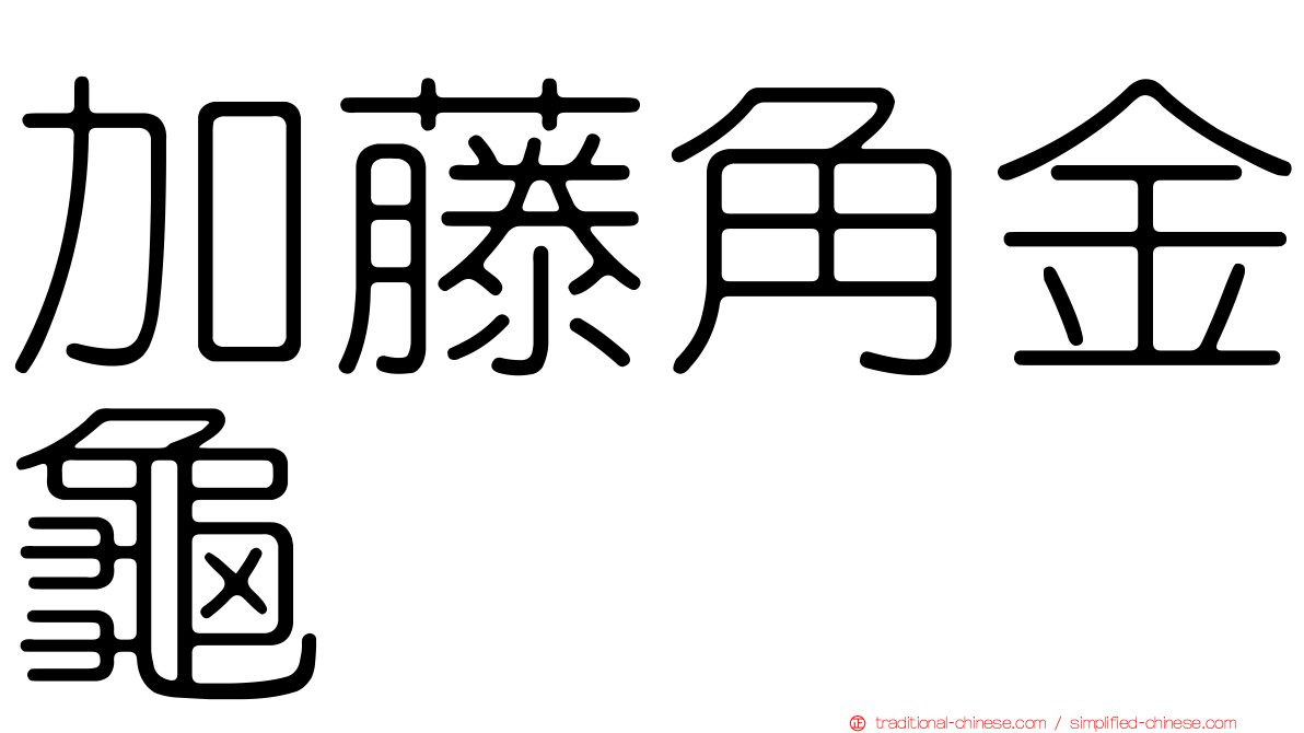 加藤角金龜